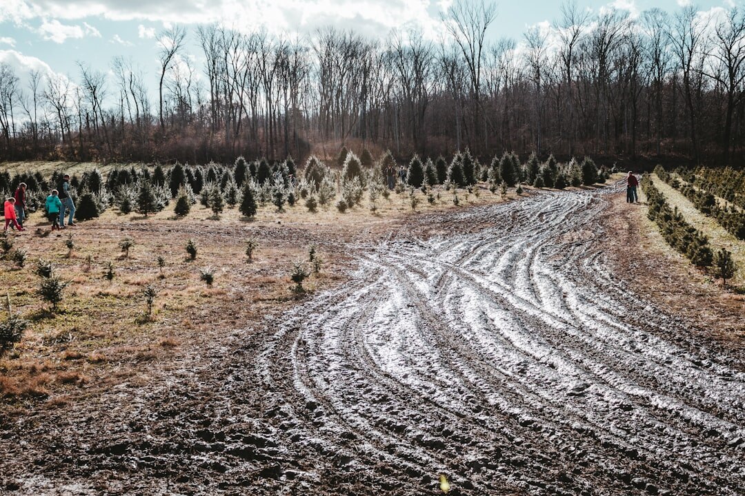 group planting trees together